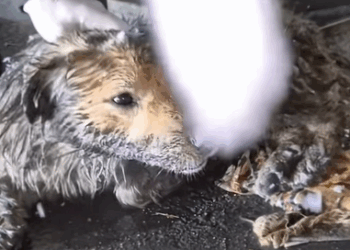 T0807001 A new chapter begins part2