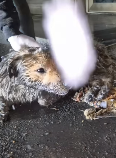 T0807001 A new chapter begins part2