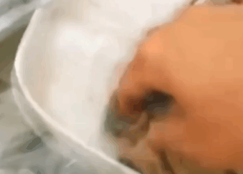 T0207015 mother saves kitten in sewer part2