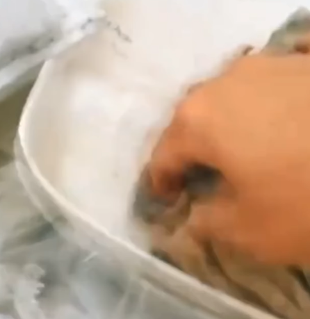 T0207015 mother saves kitten in sewer part2