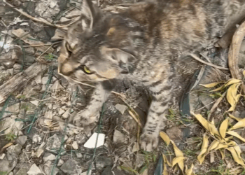 T0807022 From homeless to hopeful part2