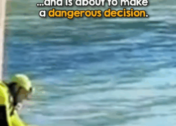 T1207001 Snapping Chihuahua Makes Rescue Difficult part2