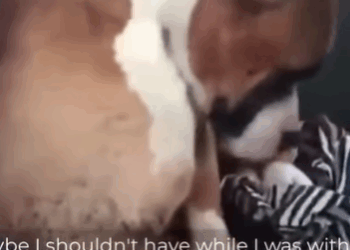 T2107009 Left to Die in the Cold His Body Failing His Hope Fading part2