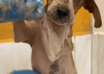 T0807007 Because every life counts part2