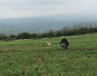 T2107004 Fallen and Forgotten Her Eyes Begged for Hope puppylove puppies Animal Lives Matter part2