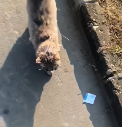 T0807013 Every life matters part2