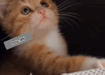 T0807023 From the street to my heart part2