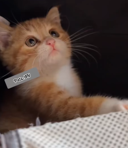 T0807023 From the street to my heart part2