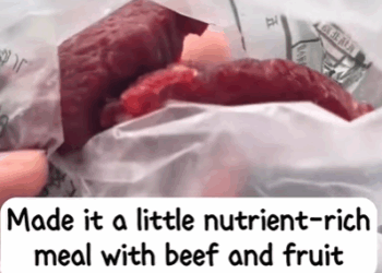 T3107016 When you rescue little animals part2