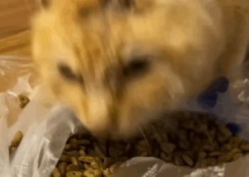 T0807003 A small act, a big change part2