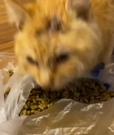 T0807003 A small act, a big change part2