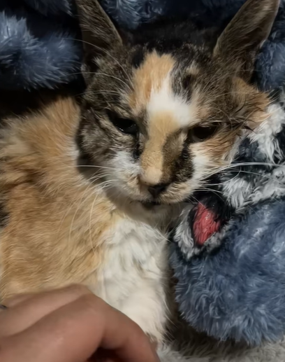 T0807025 Goodbye to my year old friend part2