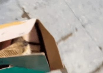 T3107027 rescue damsel in distress turns out she was total stunner part2