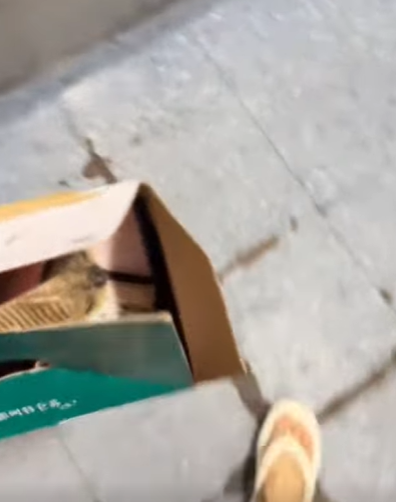 T3107027 rescue damsel in distress turns out she was total stunner part2