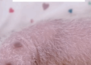 T3107005 Twins panda cubs growth diary part2