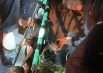 T3107014 There were eight of us in total all strangers before this rescue part2