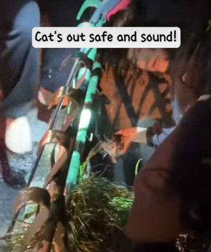 T3107014 There were eight of us in total all strangers before this rescue part2