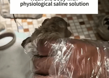 T3107012 Rescued an injured and abandoned puppy and then rescue animals fyp part2