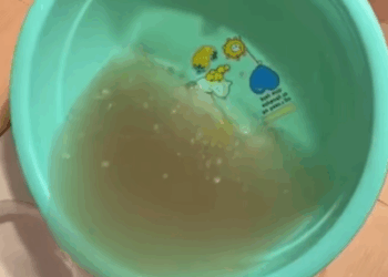 T3107015 Somehow it feels like she was always meant to be my pup like our sou part2