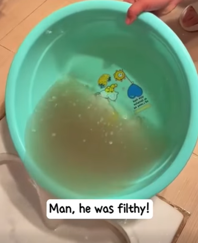 T3107015 Somehow it feels like she was always meant to be my pup like our sou part2