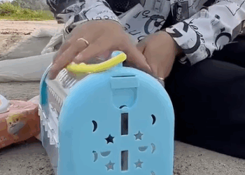 T2707012 The lady adopted a homeless kitty she is hideing in the shadows animal help save love foryou pet cool fyp part2