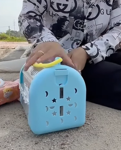 T2707012 The lady adopted a homeless kitty she is hideing in the shadows animal help save love foryou pet cool fyp part2