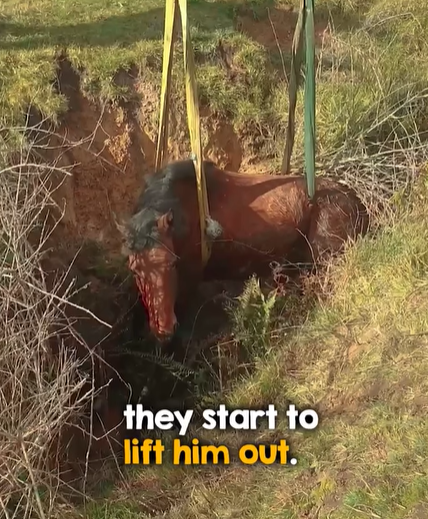 T2707008 All it takes is a little effort to help someone in need part2