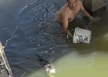 T0807020 From fear to family part2