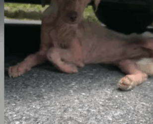 T2107007 He Chose the Shade of Bus part2