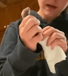 T1908040 Found a baby weasel in a puddle the girl took it home to raise rescue animal rescueanimals anim part2