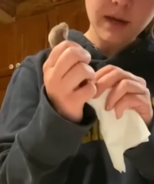 T1908040 Found a baby weasel in a puddle the girl took it home to raise rescue animal rescueanimals anim part2