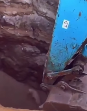 T1908043 He Was Stuck Deep in the Ground And Only Tractor Could Save Him in Time part2