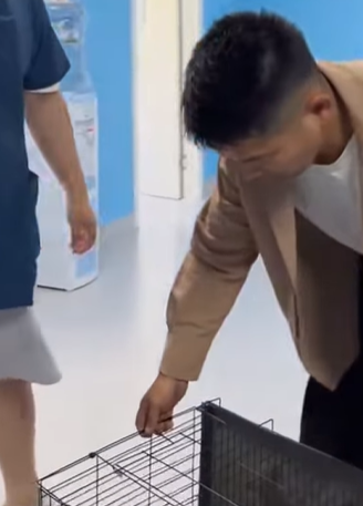 T0309055 Respect animalsoftiktok rescue rescue animals pets for part2