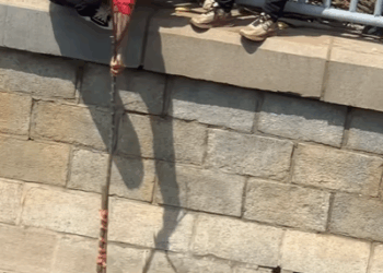 T0708011 Rescue poor dog pet xuhuong fyp trending dog dogsoftiktok pets part2