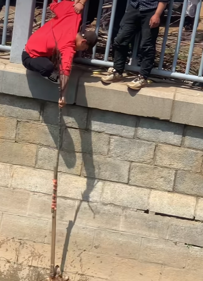 T0708011 Rescue poor dog pet xuhuong fyp trending dog dogsoftiktok pets part2