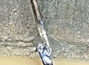 T0708029 Rescue kitten that fell into canal rescueanimals animalsoftiktok part2