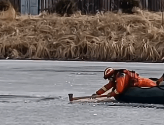 T0708001 Rescue poor dog pet fyp xuhuong trending dog dogsoftiktok pets part2