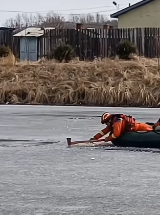 T0708001 Rescue poor dog pet fyp xuhuong trending dog dogsoftiktok pets part2