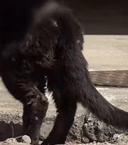 T0909082 Three Years part2