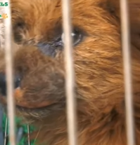 T0909062 He Couldn Eat part2