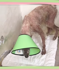 T0909057 Found Him But He Found Me part2