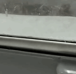 T0909077 The kitten who refused to give up and neither did this rescue part2