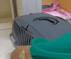 T0111030 This is heart breaking thing part2