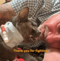 T2710027 Watch her become so beautiful and show her rescuer she wants to keep fighting We talked to David about how Bianca healing journey was like nothing he part2