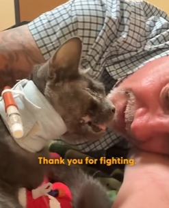 T2710027 Watch her become so beautiful and show her rescuer she wants to keep fighting We talked to David about how Bianca healing journey was like nothing he part2