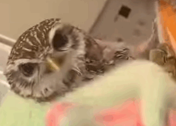 T0111075 New life begins today part2