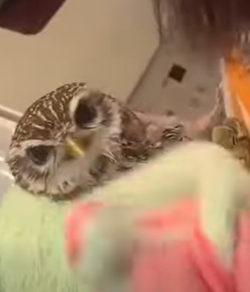 T0111075 New life begins today part2