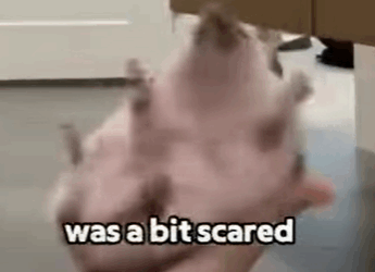 T0111071 From homeless to hopeful part2