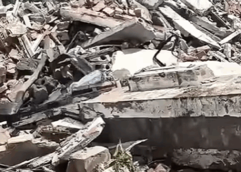 T0111067 dog dogsoftiktok poordog part2