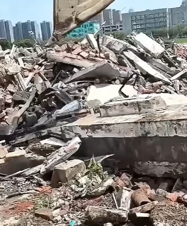 T0111067 dog dogsoftiktok poordog part2